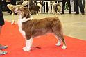 PDS - 0286